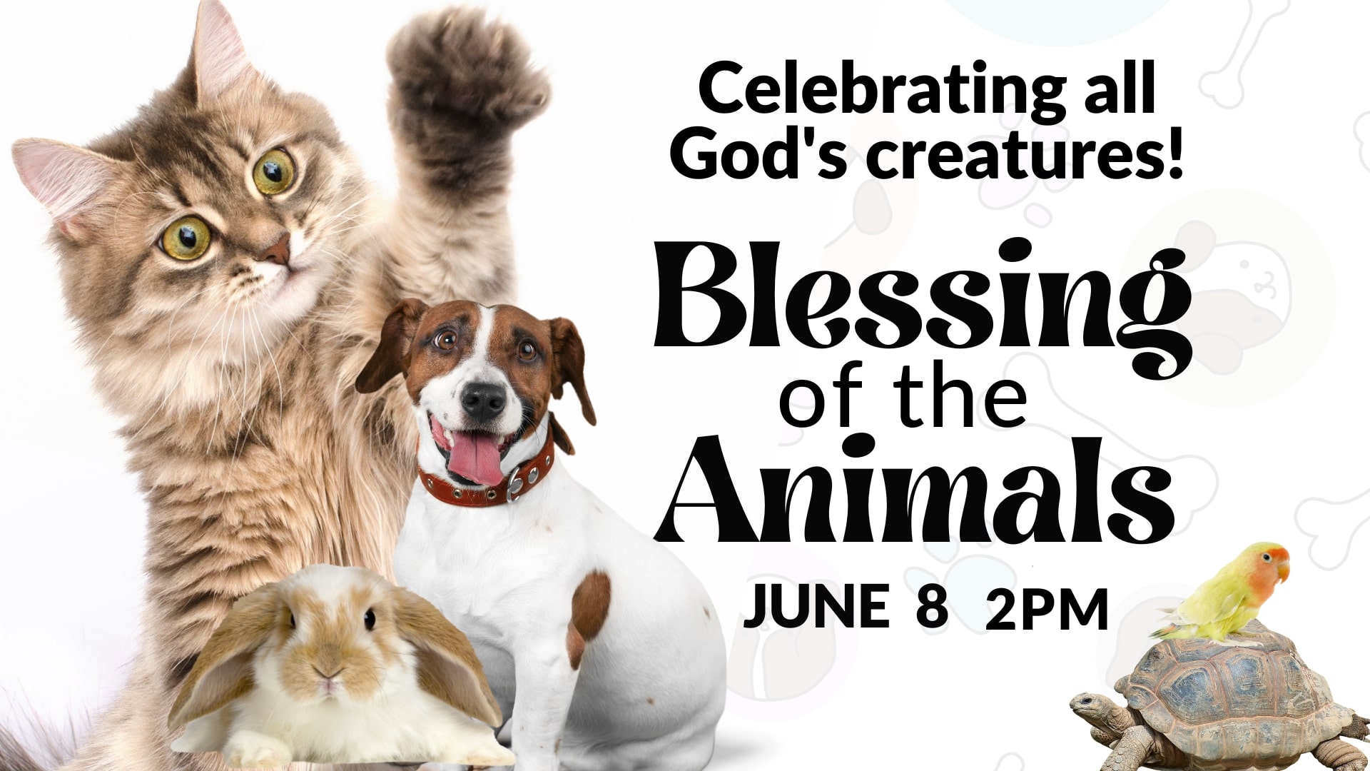 Blessing of the Animals 2025