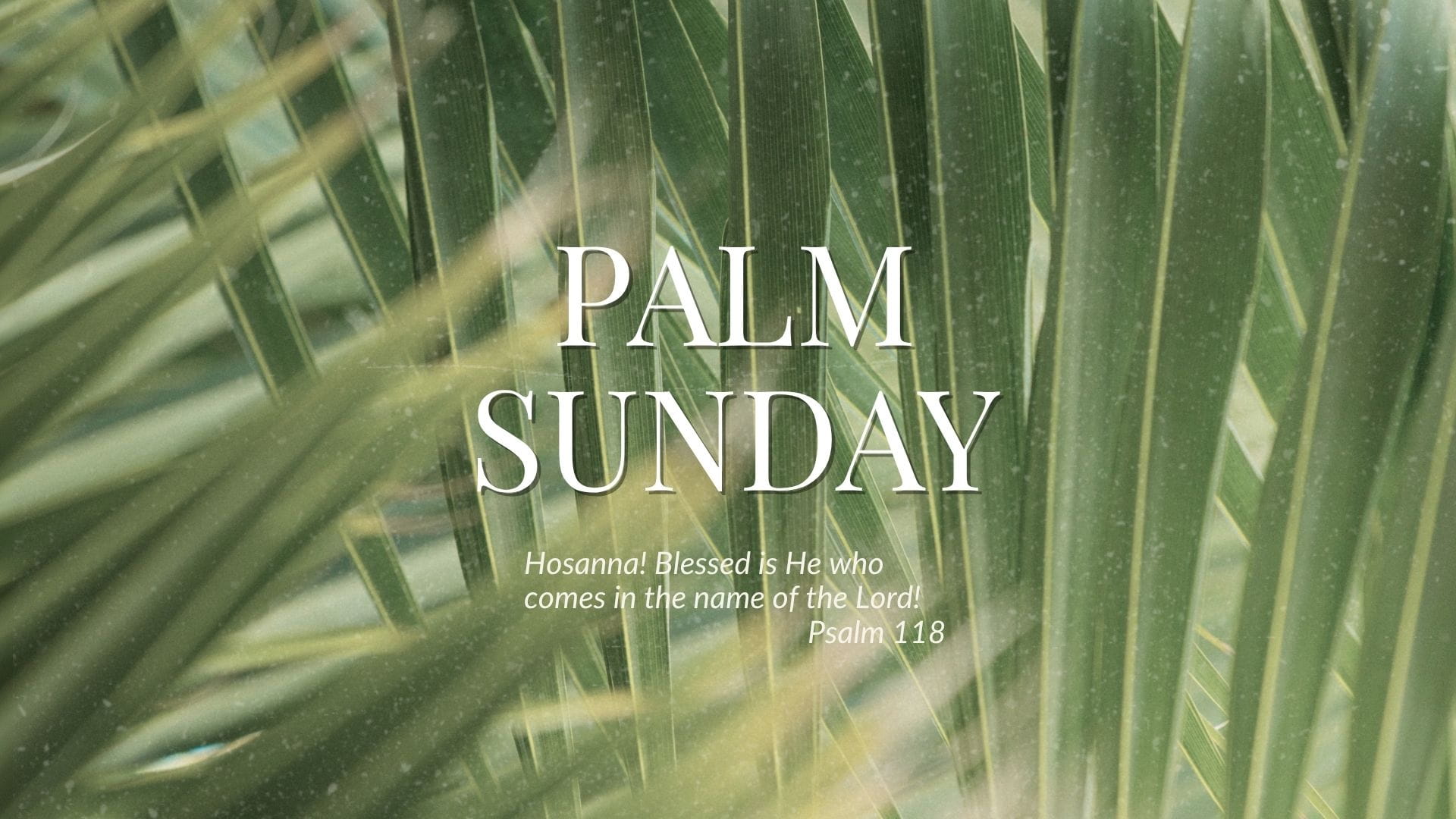 Palm Sunday 2026
